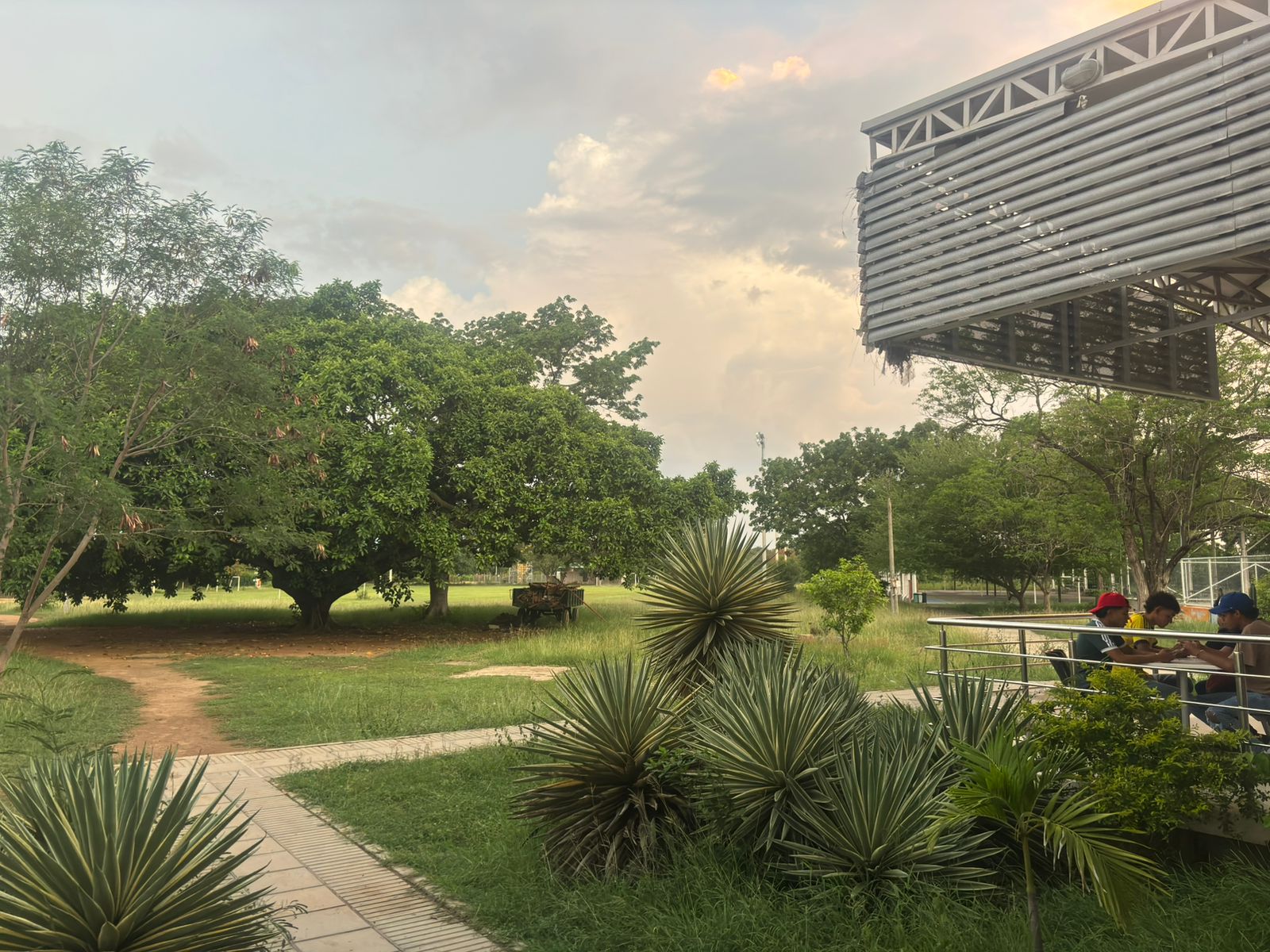 Zona Verde 3