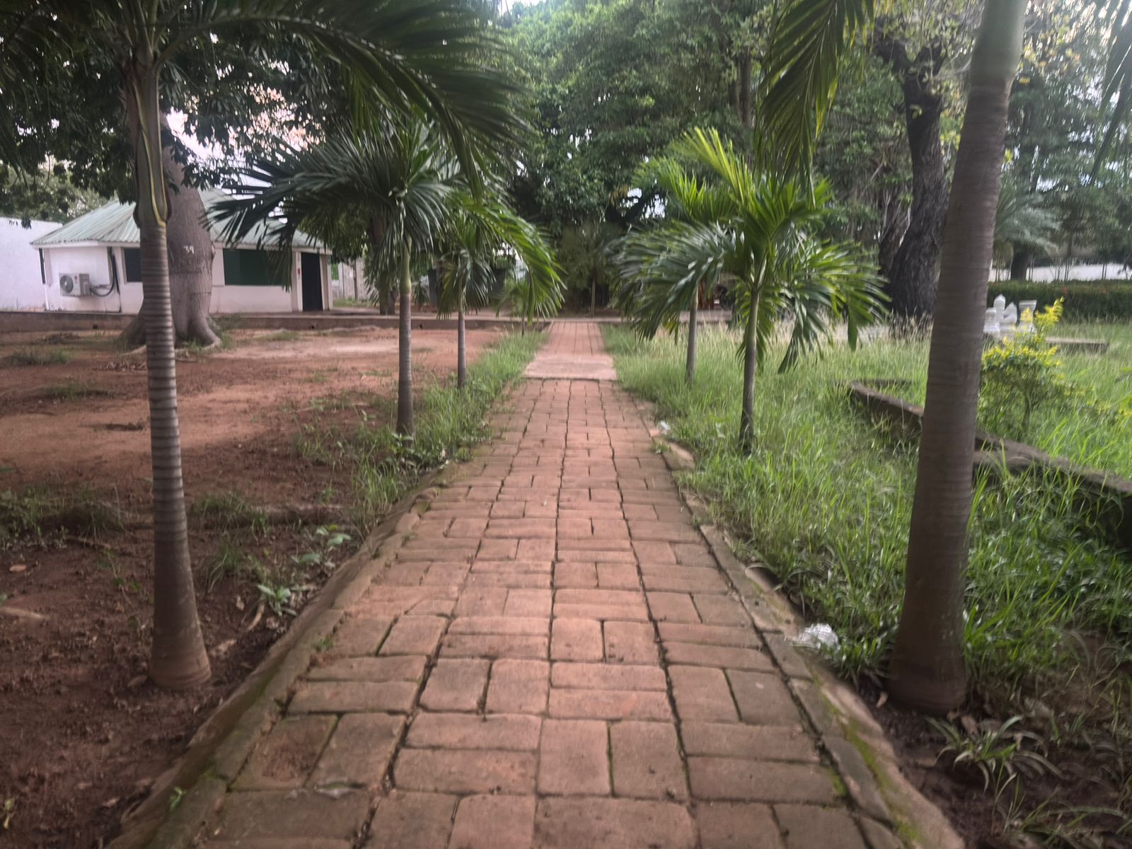 Zona Verde 4